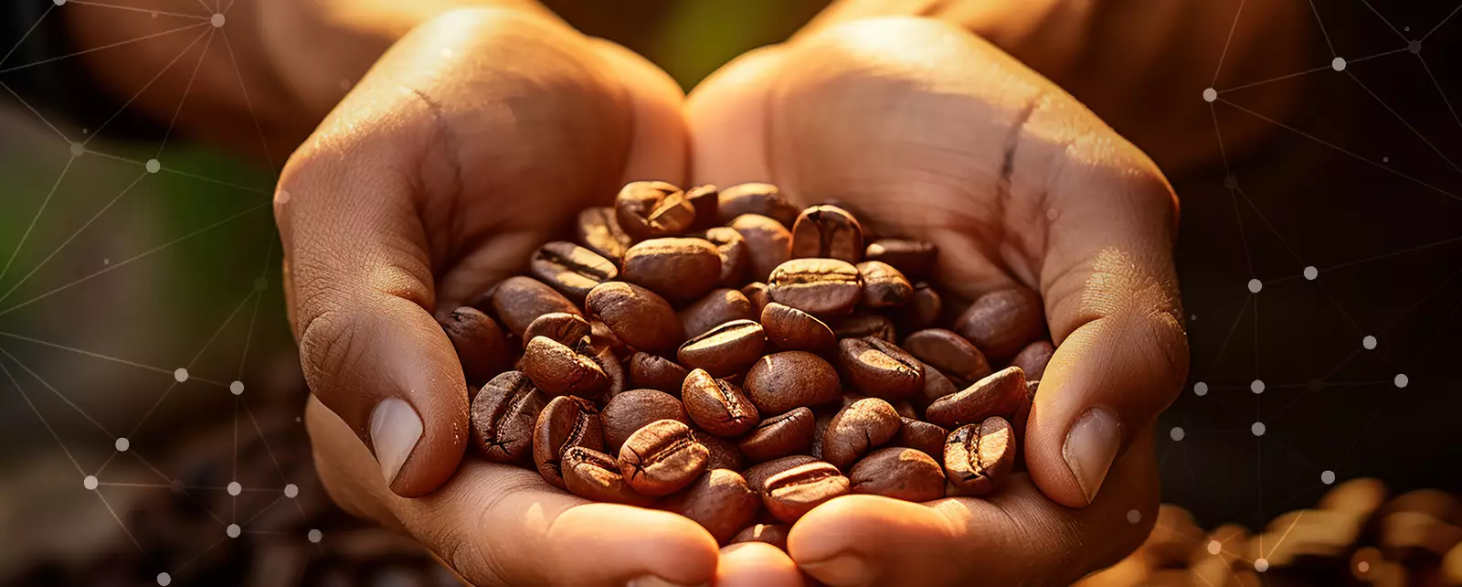 C&oacute;mo exportar cacao a EE.UU desde Latam