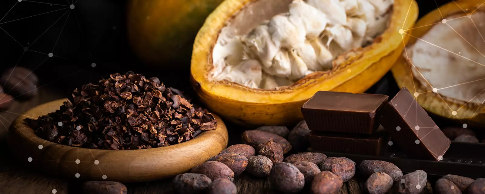 Exportar cacao a EE.UU. desde Am&eacute;rica Latina