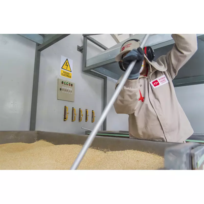 Andean Valley | Organic Quinoa Pasta | 10.5oz E