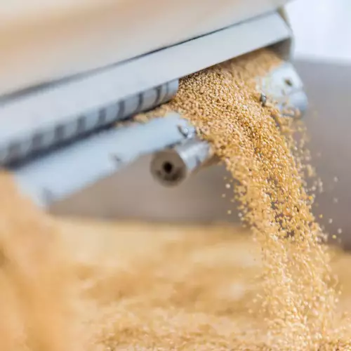 Andean Valley | Organic Quinoa Pasta Black | 12 oz | Gluten Free and Vegan- Non E