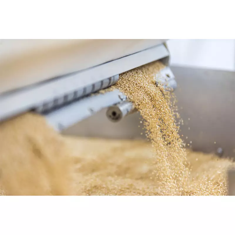 Andean Valley | Organic White Royal Quinoa Grain | 10,58oz. E