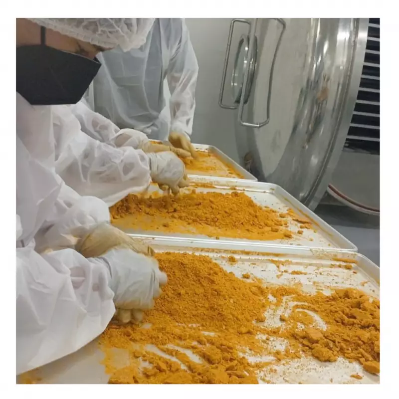 Chilaxico | Freeze dried mexican salsa, Molcajete style | 1.06 oz