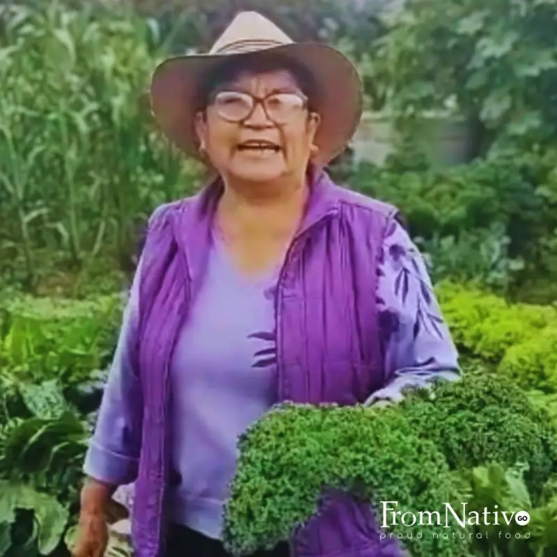 FromNativoGo | Freeze Dried Veggies: Oyster Mushrooms, Asparagus, Kale Mix | 0.35 Oz E