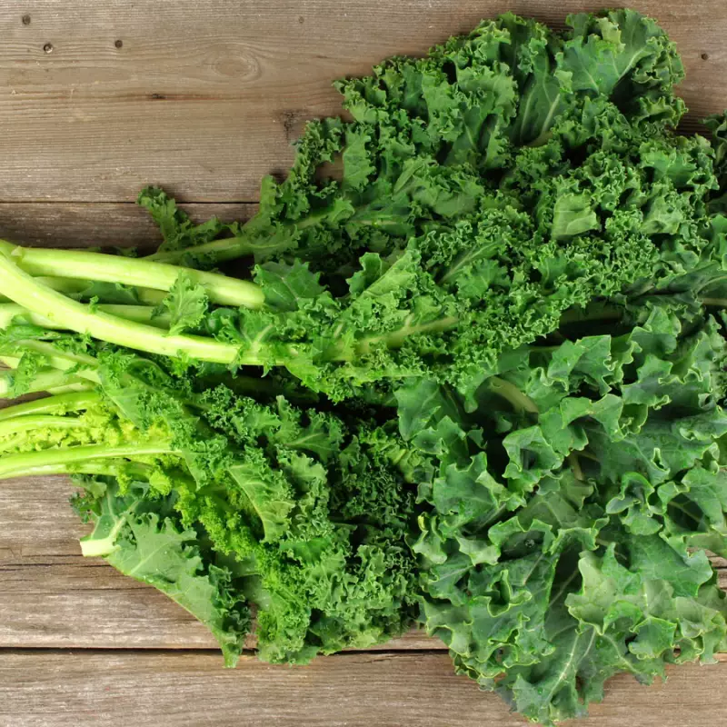 FromNativoGo | Freeze Dried Veggies: Oyster Mushrooms, Asparagus, Kale Mix | 0.35 Oz E