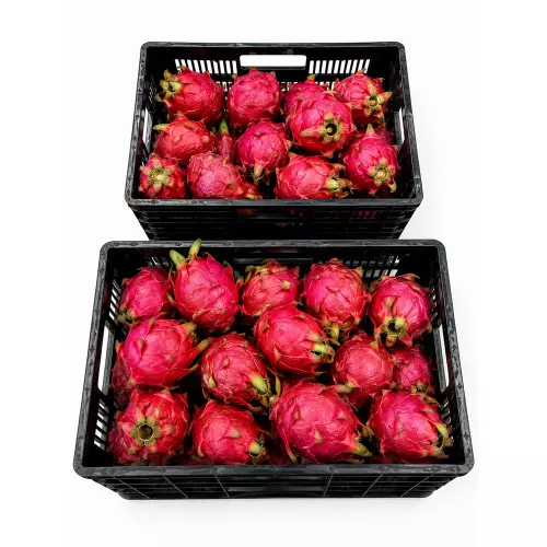 JazzDelly - Dragon Fruit (Pitahaya) Pulp - 14 oz (397 g) - 12 units