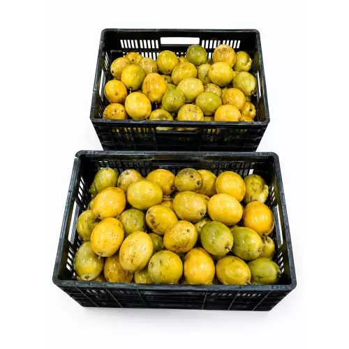 JazzDelly - Passion Fruit Pulp - 14 oz (397 g) - 12 units