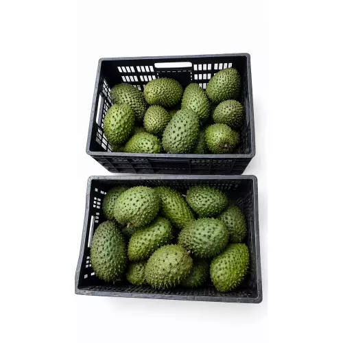 JazzDelly - Soursop Pulp - 14 oz (397 g) - 12 units
