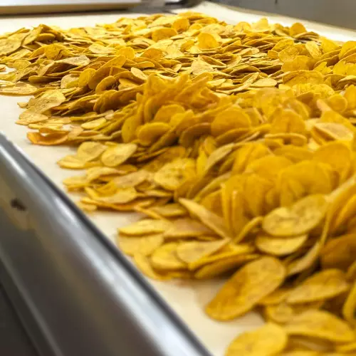 Mapy - Tostones plantain chips 8.82 oz (250g) x 10