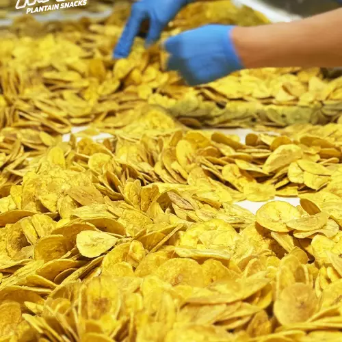 Mapy - Tostones plantain chips 8.82 oz (250g) x 10
