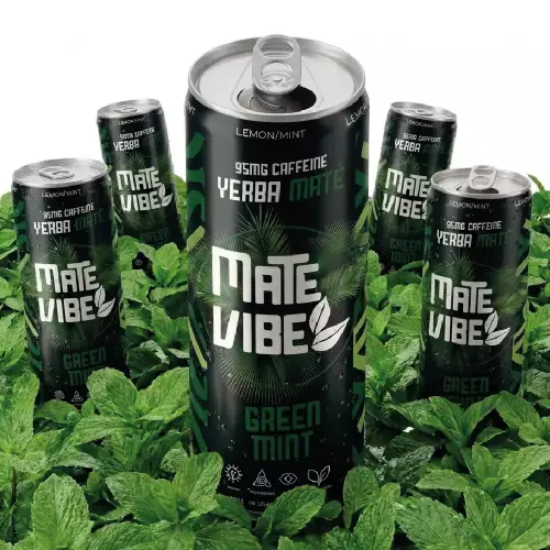 Matevibe-Natural Energy Drink-Green Mint-12 OZ-YERBA MATE-LEMON MINT-Low Sugar-Vegan-Focus E