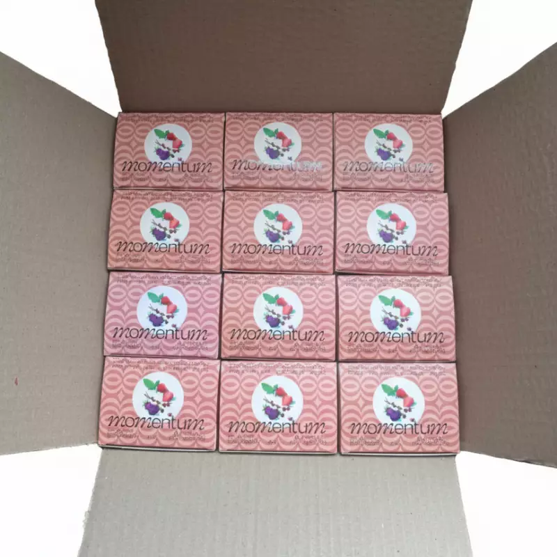 Momentum Tea | Spearmint, Blackberry, Strawberry and Acai Infusion | 1.1 Oz