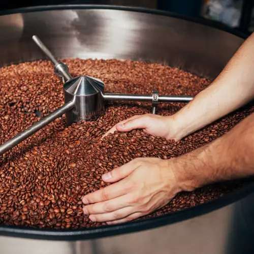 MONTÉ - 12 oz (340 g) - 100% Arabica Whole Bean Coffee