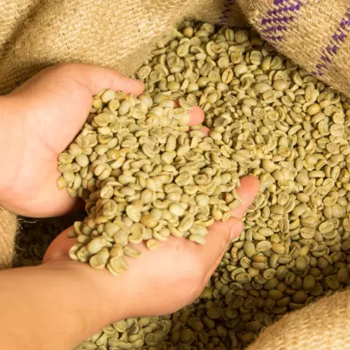 MONTÉ - 16 oz (450 g) - 100% Arabica Ground Coffee