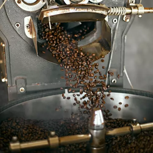 MONTÉ - 16 oz (450 g) - 100% Arabica Ground Coffee