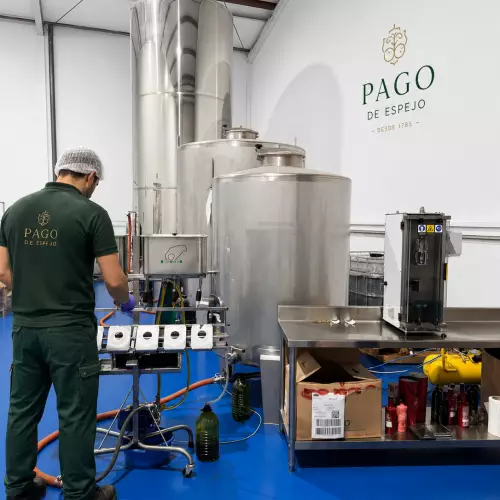 Pago de Espejo-Evoo extra virgin olive oil- 16,90oz with canister- Jaen-Early harvest