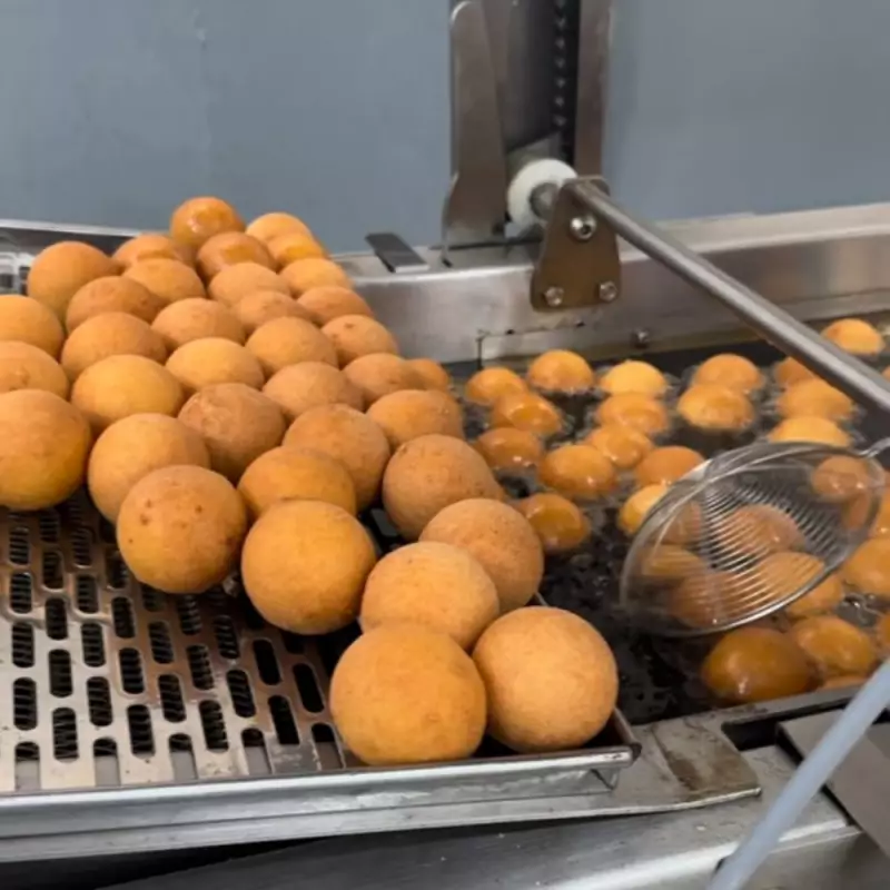 Sanin | Frozen Buñuelo | 114,28 oz