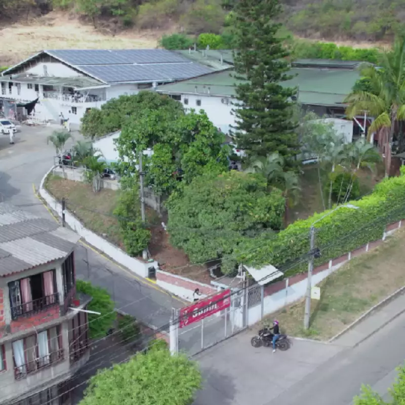 Sanin | White Biscuit/ Polvorosa | 14.1 oz