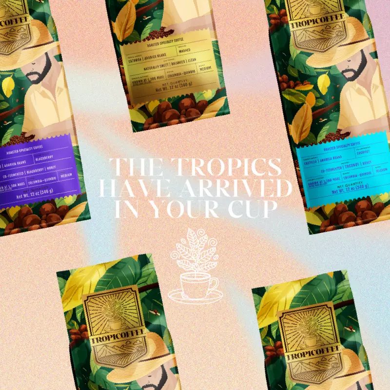 Tropicoffee | Ground Coffee - Coconut | 12oz