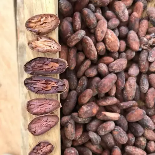 Dark Chocolate Bar - 82% Cacao Filled with Creamy honey - 1.76 oz - Colombian Bean-to-Bar Chocolate