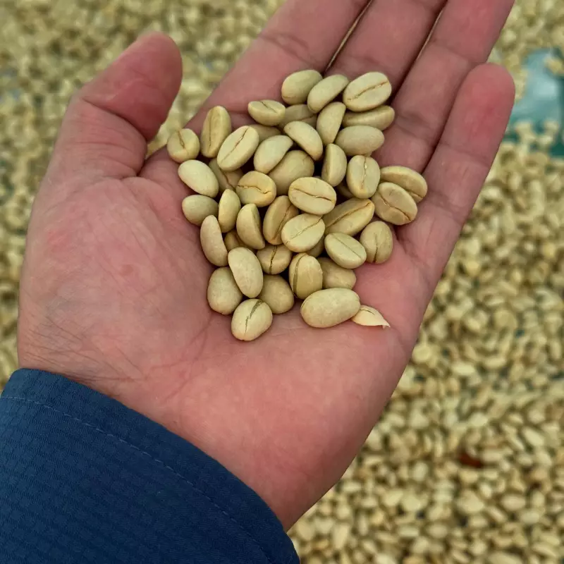 Ground Roasted Coffee | 8oz | Bolivian specialy coffee