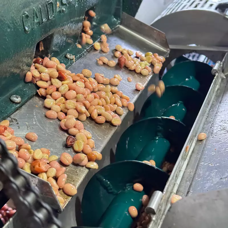 Ground Roasted Coffee | 8oz | Bolivian specialy coffee