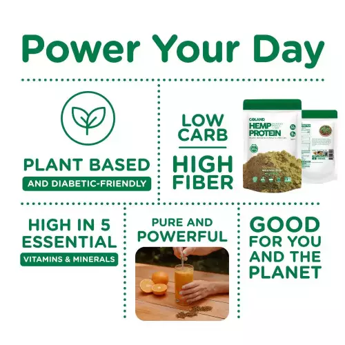 Goland | Plant-Based Hemp Protein | Clean Label, Vegan, Gut Health Support | 9 oz