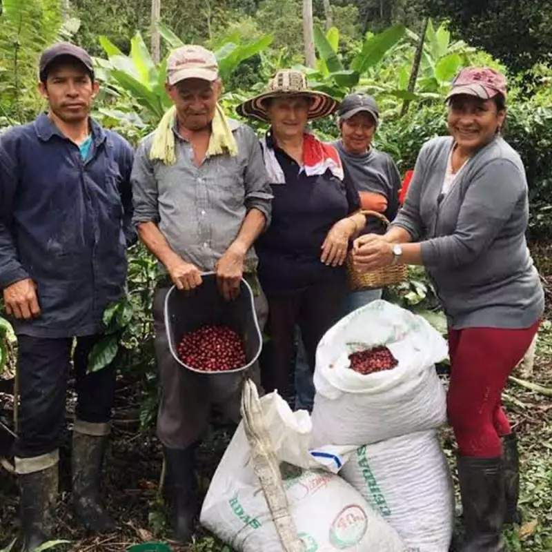 Roasted Coffee. Net Wt. 16 Oz. 100% arabica Colombian Coffee. Geisha variety. Ground or whole bean