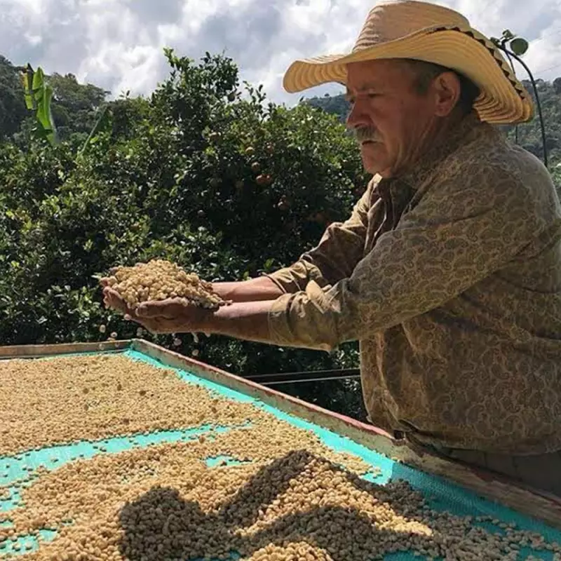 Roasted Coffee. Net Wt. 16 Oz. 100% arabica Colombian Coffee. Geisha variety. Ground or whole bean