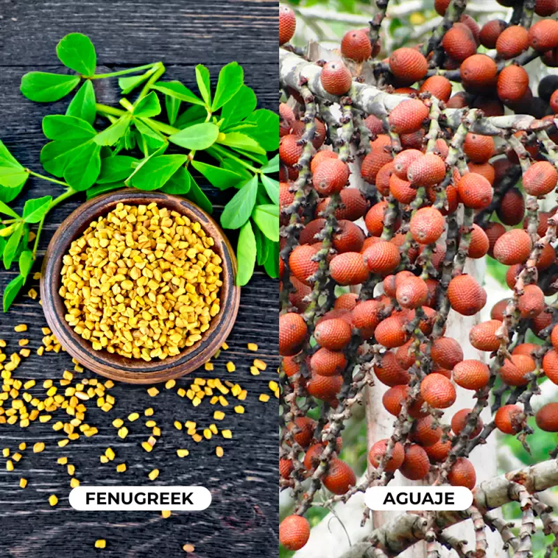 Tinku | PowerFem Balance Gummies | Women’s Hormone Support | 4.2 oz