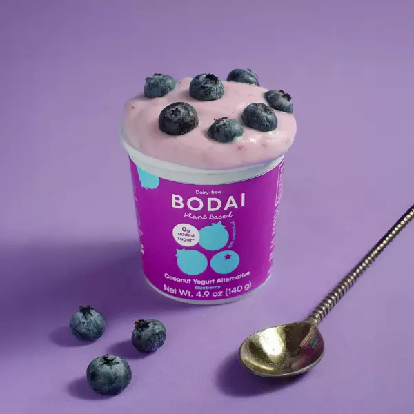 Coconut Yogurt Alternative Blueberry - 4.9 oz. Vegan, Dairy/Soy/Gluten-Free. With Probiotics.