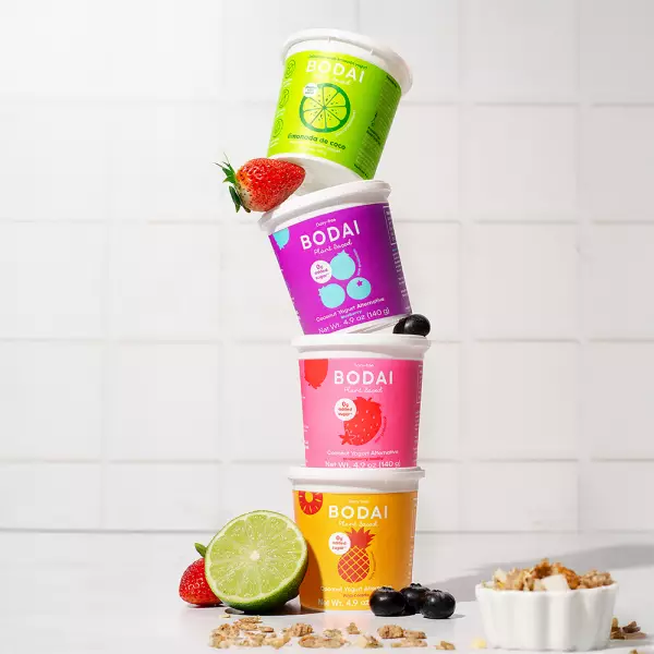 Coconut Yogurt Alternative Blueberry - 4.9 oz. Vegan, Dairy/Soy/Gluten-Free. With Probiotics.