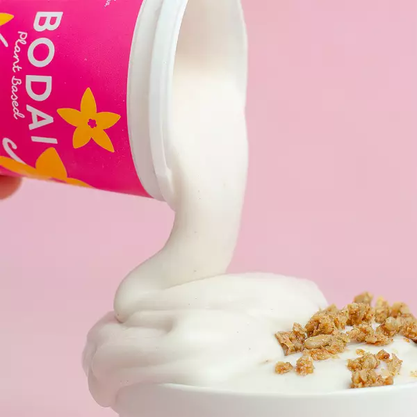 Coconut Yogurt Alternative Vanilla - 17.6 oz. Vegan, Dairy/Soy/Gluten-Free. With Probiotics.