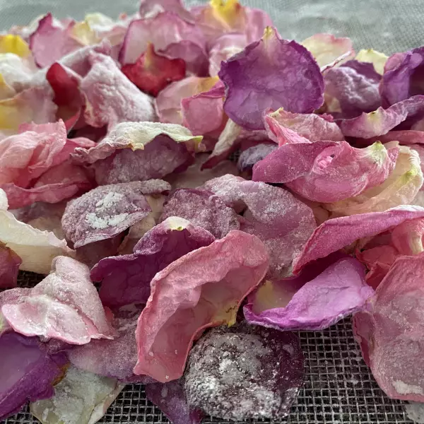 Dried Rose/Petal Rose/Natural Snack/Sweet Rose