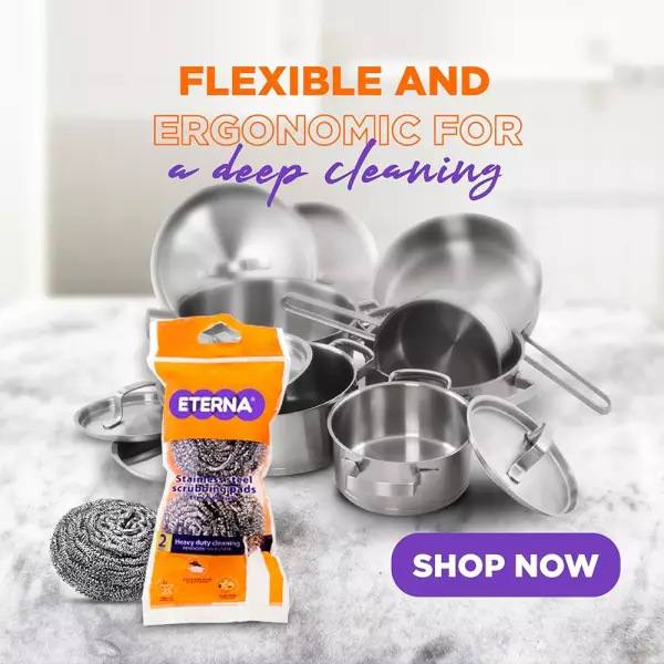 Eterna | Stainless steel spiral scrubber | 2packE.