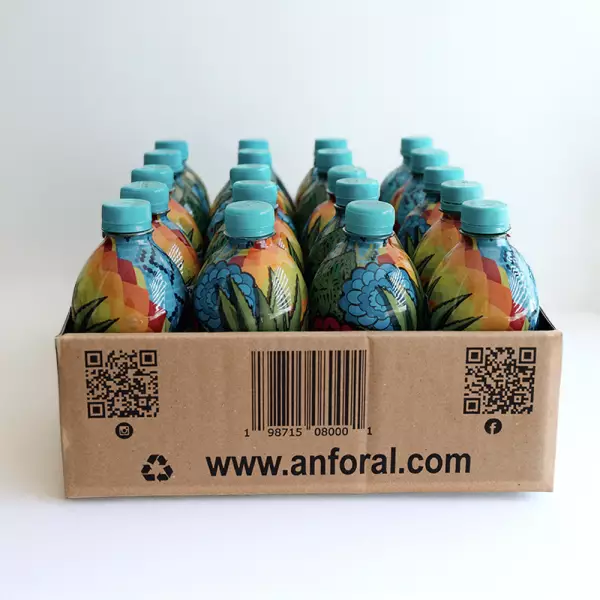 Fermented Agave Lechuguilla Beverage Traditional - 16.9 oz