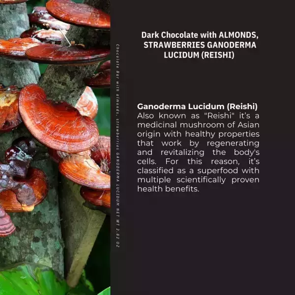 Kaffeto Gourmet | Dark chocolate bar with Almonds strawberries and reishi | Organic Vegan E.