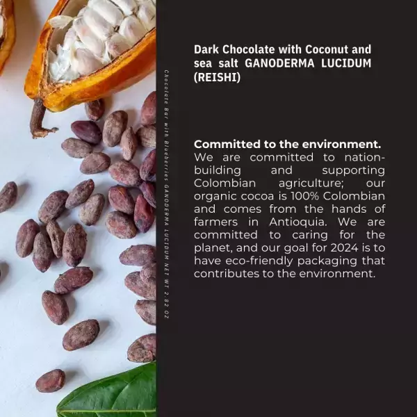 Kaffeto Gourmet | Dark Chocolate Bar with coconut and sea salt and Reishi | Organic Vegan E.