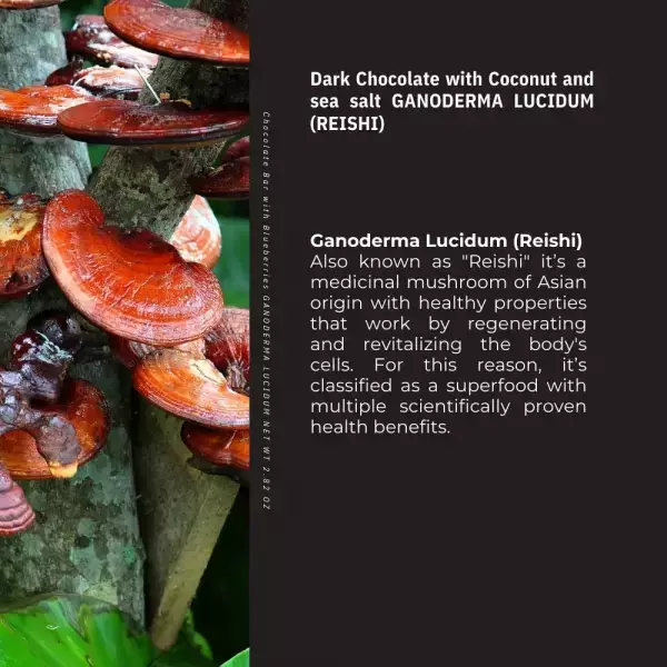 Kaffeto Gourmet | Dark Chocolate Bar with coconut and sea salt and Reishi | Organic Vegan E.