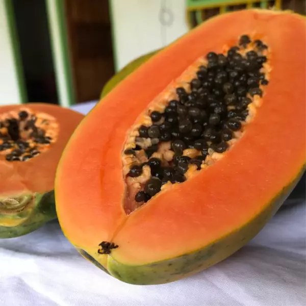 Papaya dried snacks - 0.88 oz - 100% fruit natural - No sugar addied - Gluten Free