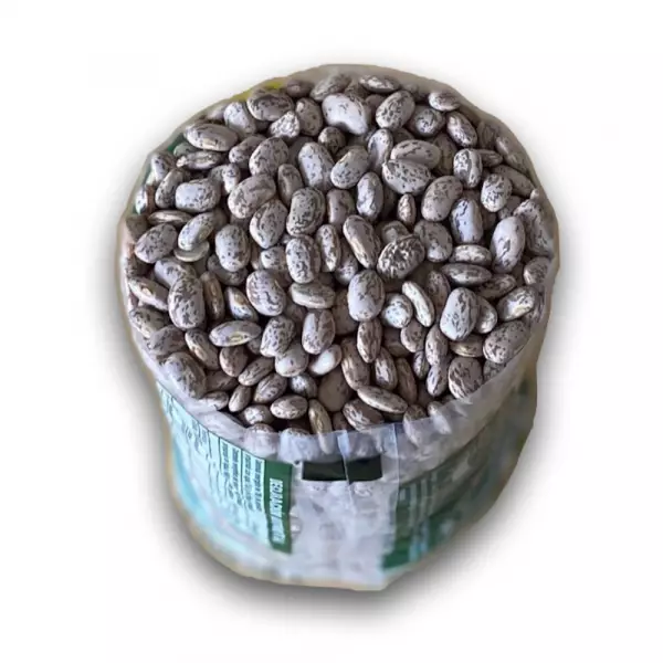 Pinto Beans - 16 oz