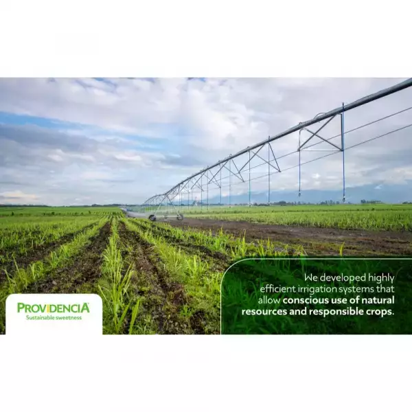 Providencia | Organic Sugar | 24oz resealable doypack | Possibility to do Private Label E.