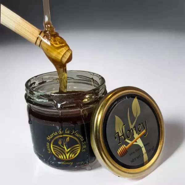 Pure Bee Honey - 19.0 oz