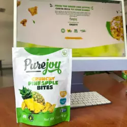 Pure Joy | Crunchy Pineapple Bites | 1 oz | One Ingredient | 100% Fruit ...