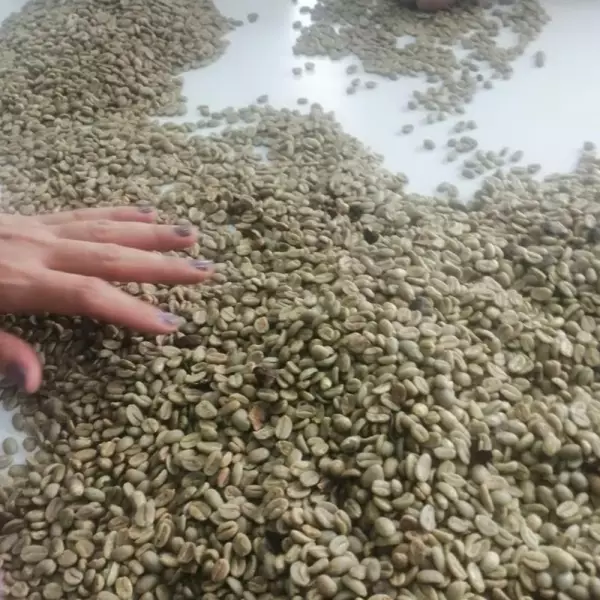Roasted Coffee. Net Wt. 16 Oz. 100% arabica Colombian Coffee. Castillo variety. Ground or whole bean
