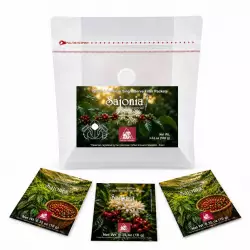 Sajonia Specialty Coffee | Single-Serve Ground Coffee Filter Packets | 10 x 10 g