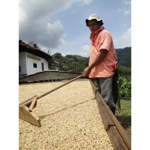 Trujillo Origin Coffee - Whole Bean 12 Oz Smooth Flavor. Sugar Cane. Melao And Ripe Fruit