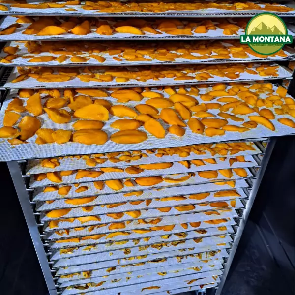 Mango dried snacks - 0.88 oz - 100% fruit natural - No sugar addied - Gluten Free