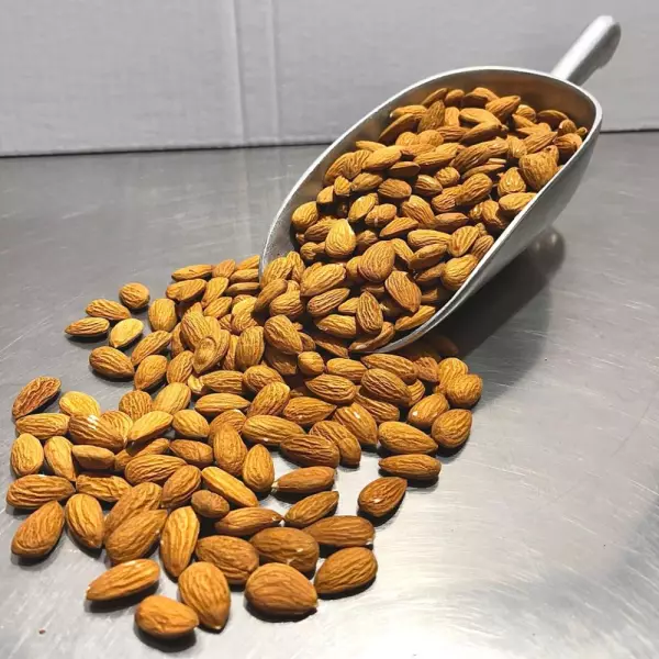 Organic Almonds Variety Carmel