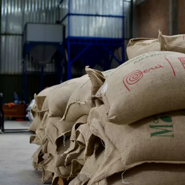 Ground Roasted Coffee / Café Monteverde /35.27 Oz