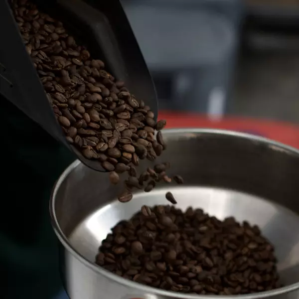Ground Roasted Coffee / Café Monteverde /35.27 Oz